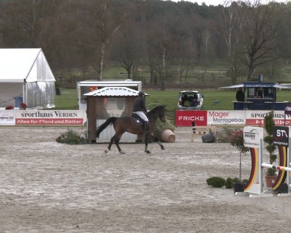 Reitturnier Westergellersen 2024