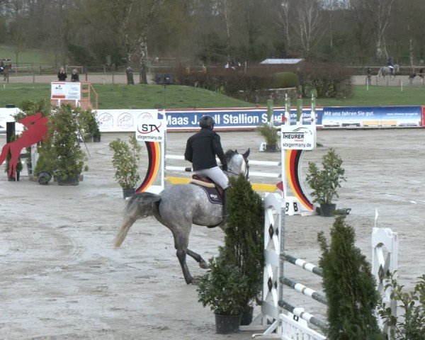Reitturnier Westergellersen 2024