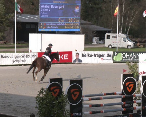 Reitturnier Westergellersen 2024