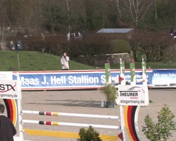 Reitturnier Westergellersen 2024