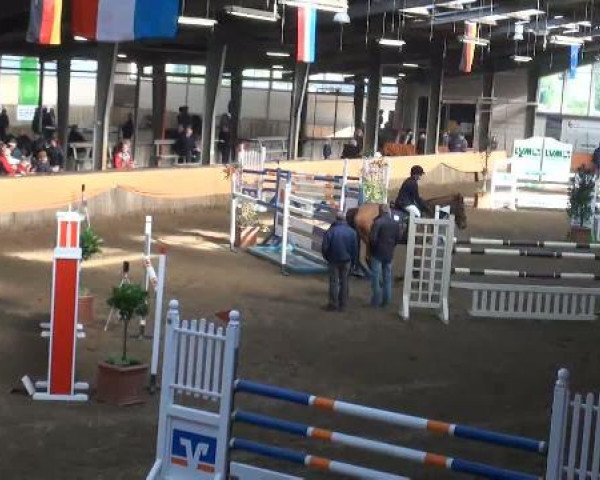 Emlichheim Hallen-Springturnier vom 21.-23.10.2011