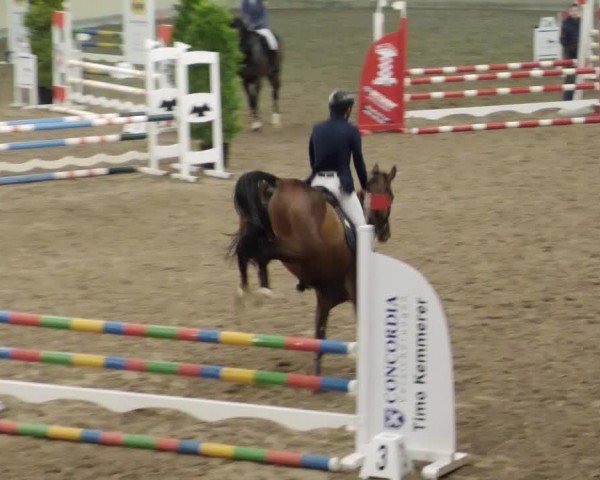 Reitturnier Waghäusel-Wiesental 2024