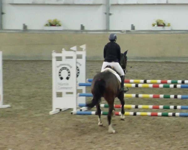 Reitturnier Waghäusel-Wiesental 2024