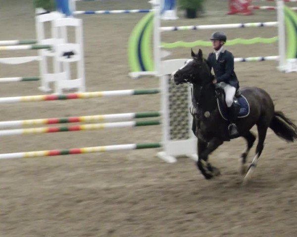 Reitturnier Waghäusel-Wiesental 2024