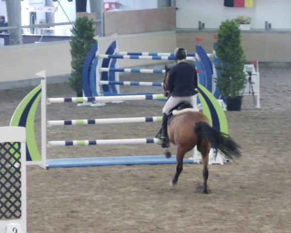 Reitturnier Waghäusel-Wiesental 2024