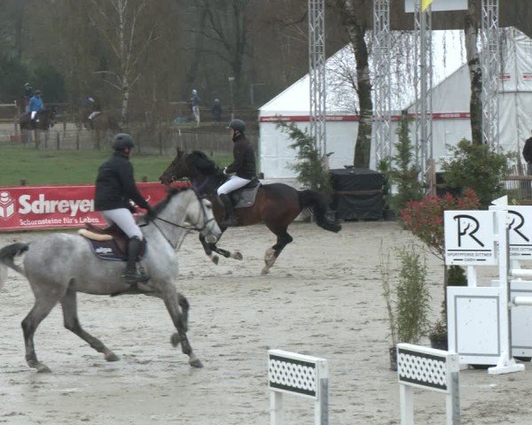 Reitturnier Westergellersen 2024