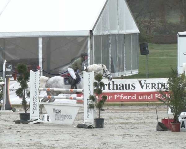 Reitturnier Westergellersen 2024