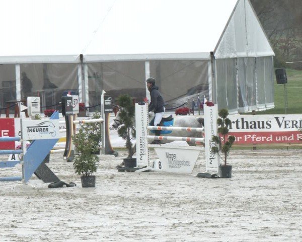 Reitturnier Westergellersen 2024