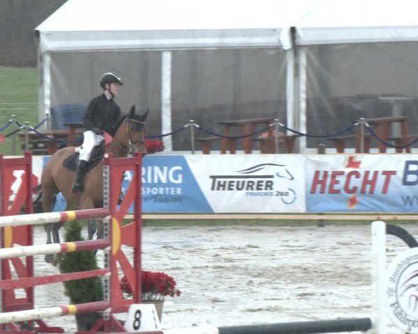 Reitturnier Westergellersen 2024