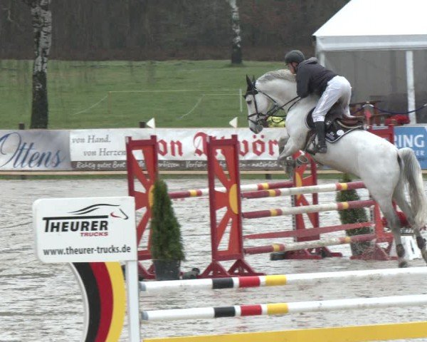 Reitturnier Westergellersen 2024