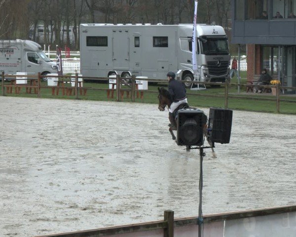 Reitturnier Westergellersen 2024