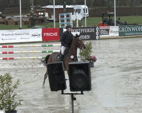 Reitturnier Westergellersen 2024