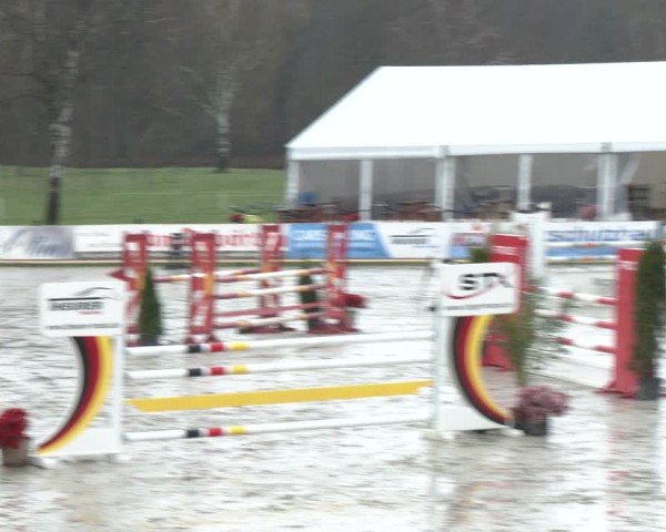 Reitturnier Westergellersen 2024