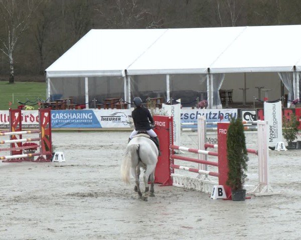 Reitturnier Westergellersen 2024