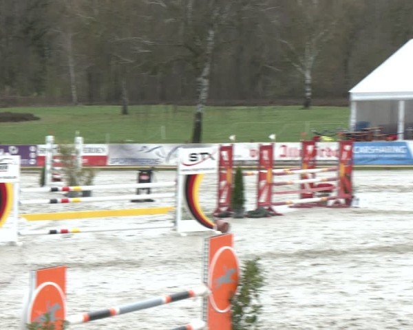 Reitturnier Westergellersen 2024