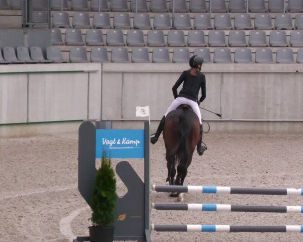 Reitturnier Aachen 2024