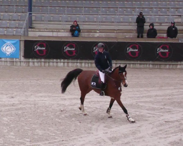 Reitturnier Aachen 2024