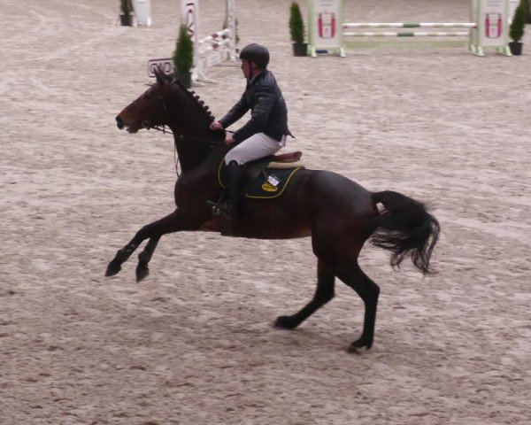 Reitturnier Aachen 2024