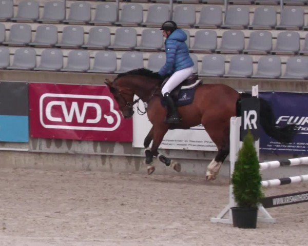 Reitturnier Aachen 2024