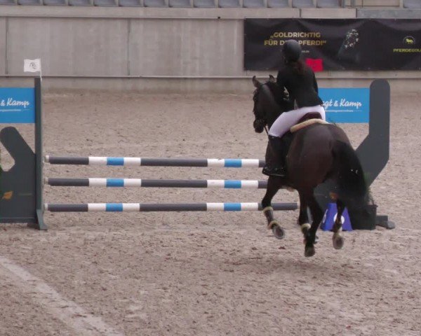 Reitturnier Aachen 2024
