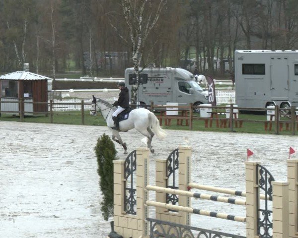Reitturnier Westergellersen 2024