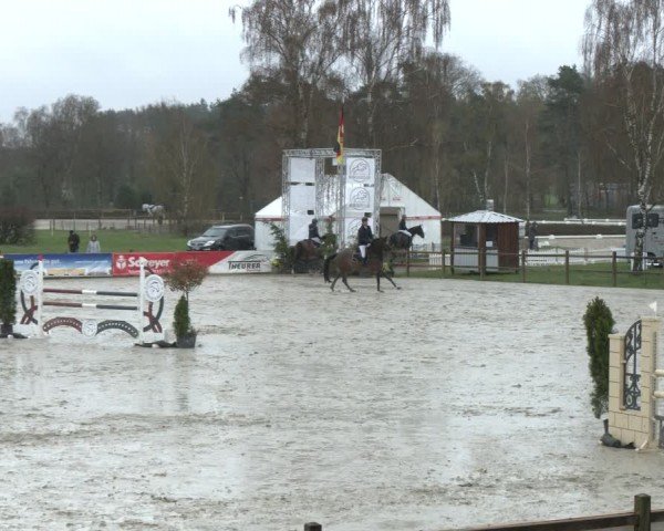Reitturnier Westergellersen 2024