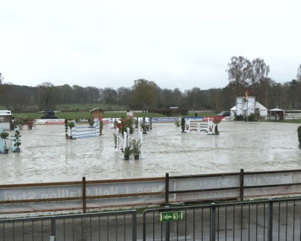 Reitturnier Westergellersen 2024