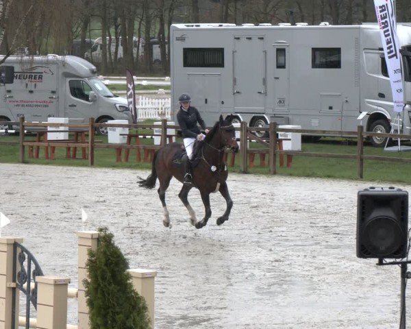 Reitturnier Westergellersen 2024