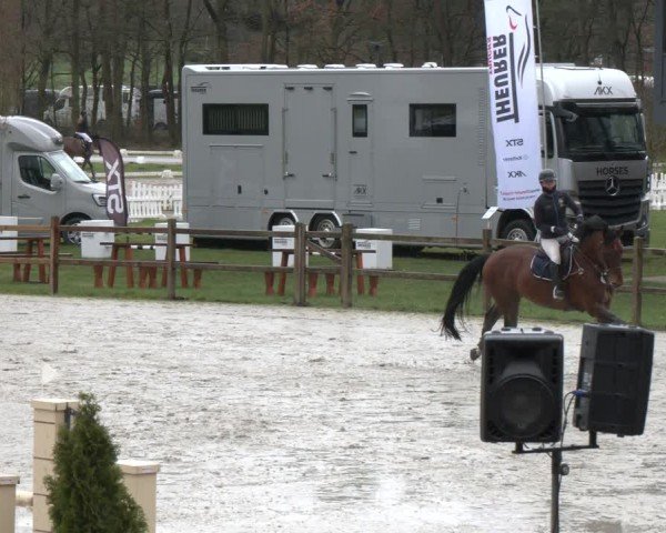 Reitturnier Westergellersen 2024
