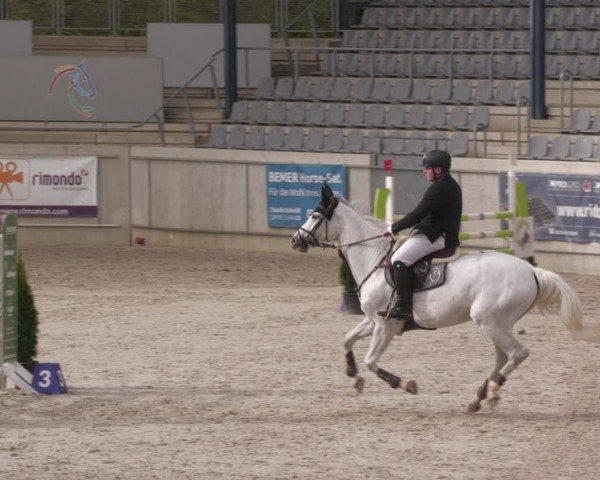 Reitturnier Aachen 2024