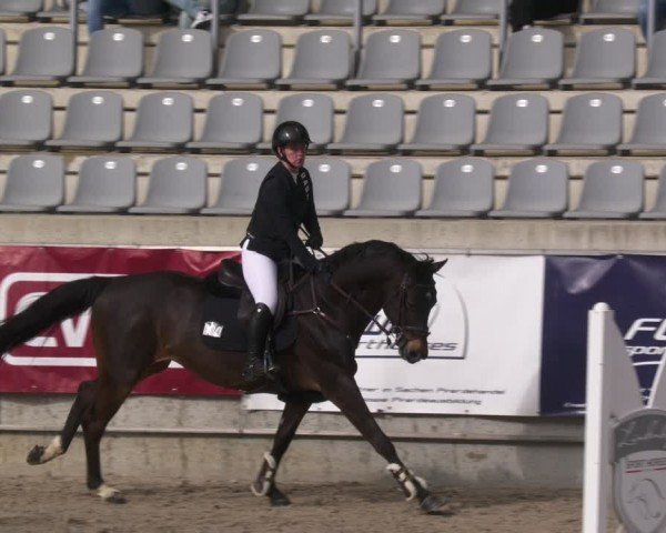 Reitturnier Aachen 2024
