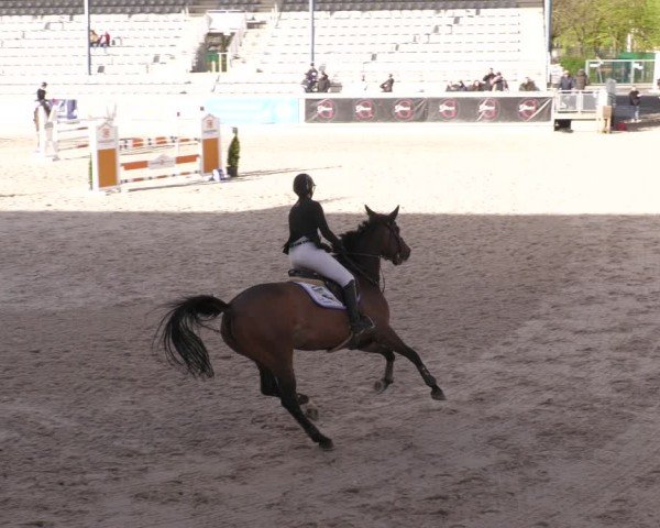 Reitturnier Aachen 2024