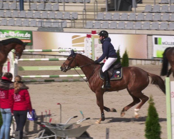 Reitturnier Aachen 2024