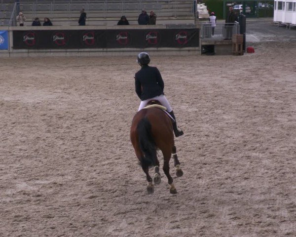 Reitturnier Aachen 2024