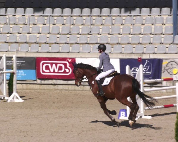 Reitturnier Aachen 2024