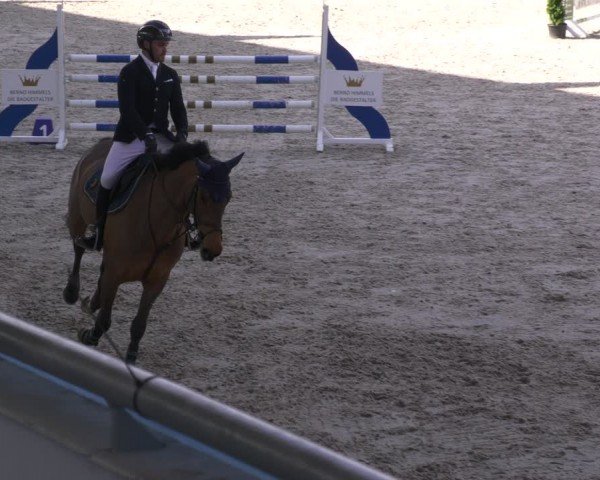 Reitturnier Aachen 2024