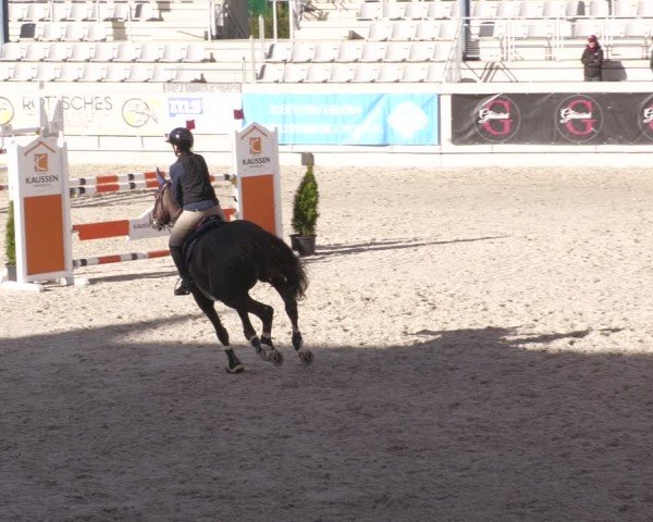 Reitturnier Aachen 2024