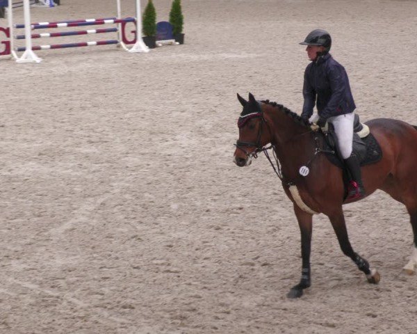 Reitturnier Aachen 2024