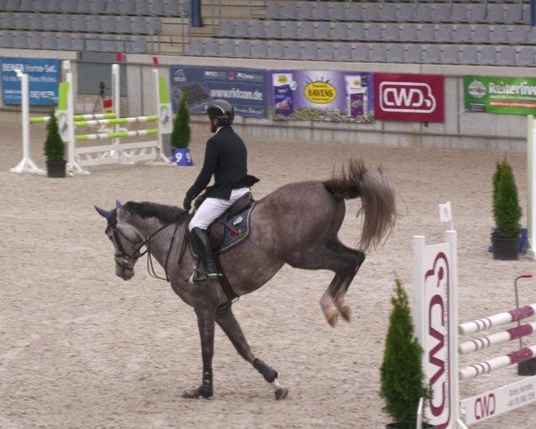 Reitturnier Aachen 2024