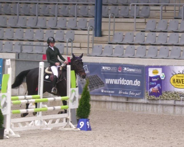 Reitturnier Aachen 2024