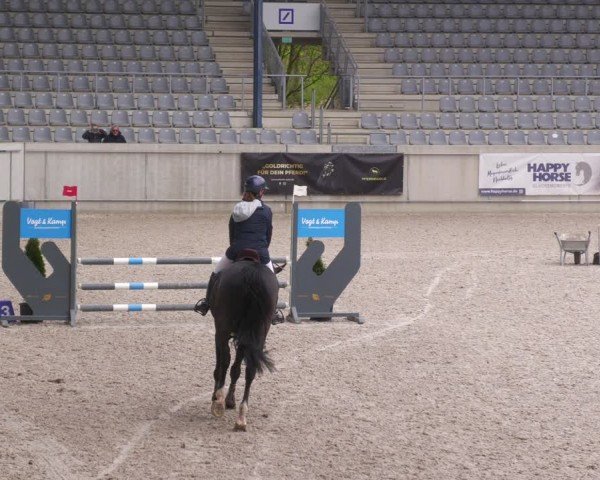 Reitturnier Aachen 2024