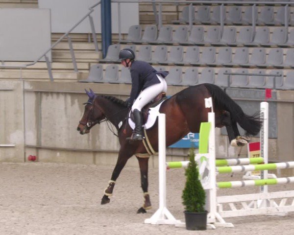Reitturnier Aachen 2024