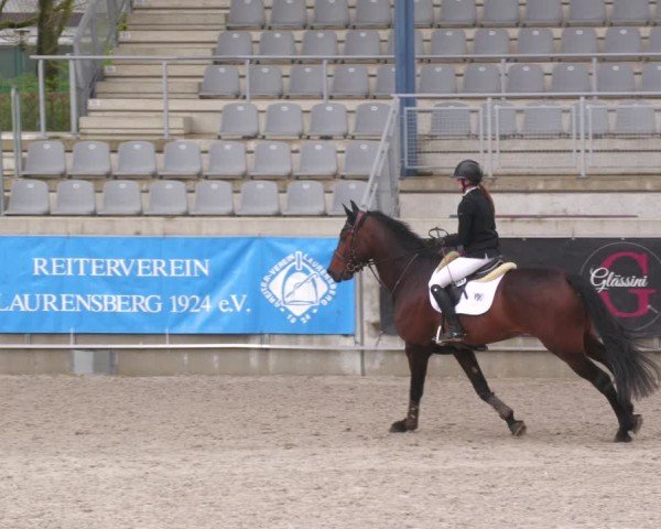 Reitturnier Aachen 2024
