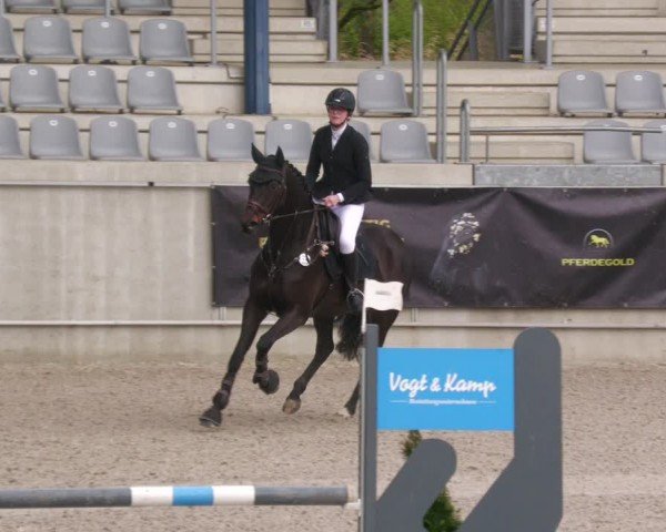Reitturnier Aachen 2024