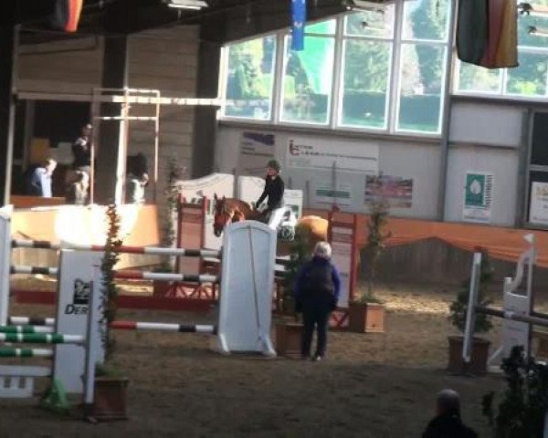 Emlichheim Hallen-Springturnier vom 21.-23.10.2011