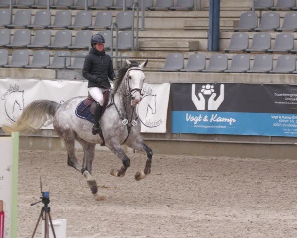 Reitturnier Aachen 2024