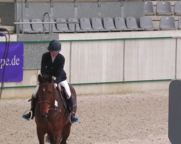Reitturnier Aachen 2024