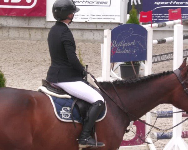 Reitturnier Aachen 2024