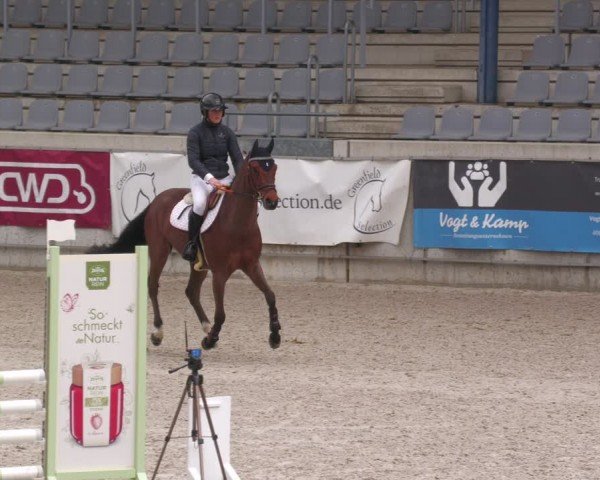 Reitturnier Aachen 2024