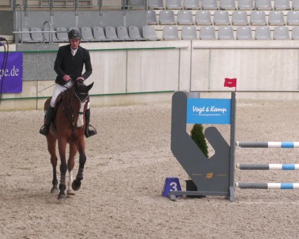 Reitturnier Aachen 2024